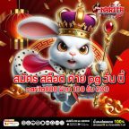 สมัคร สล็อต ค่าย pg วัน นี้